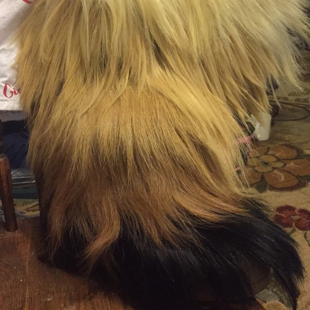 Tecnica Vintage Boots size in picture offer +